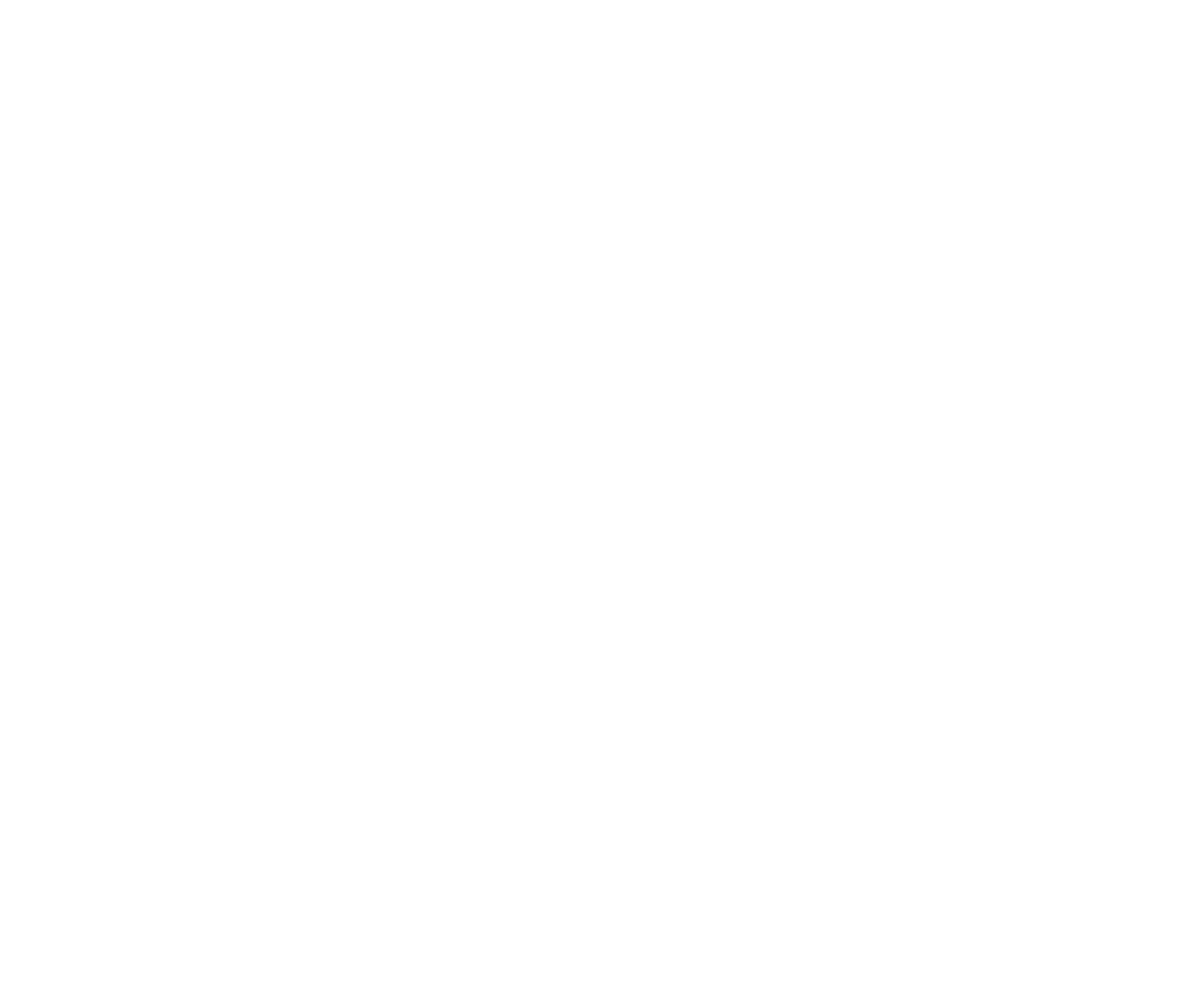 Anovox logo, white
